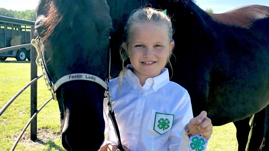 Nelson County 4H Fair