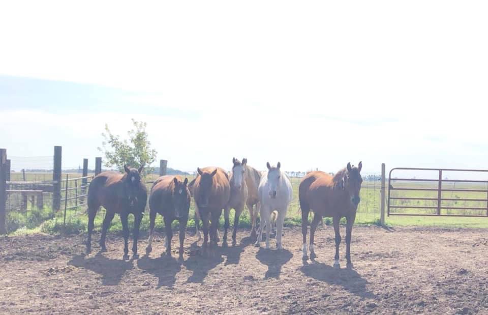 It’s a beautiful week or horseback riding!