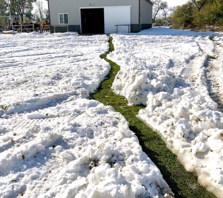 Path to the BARN!