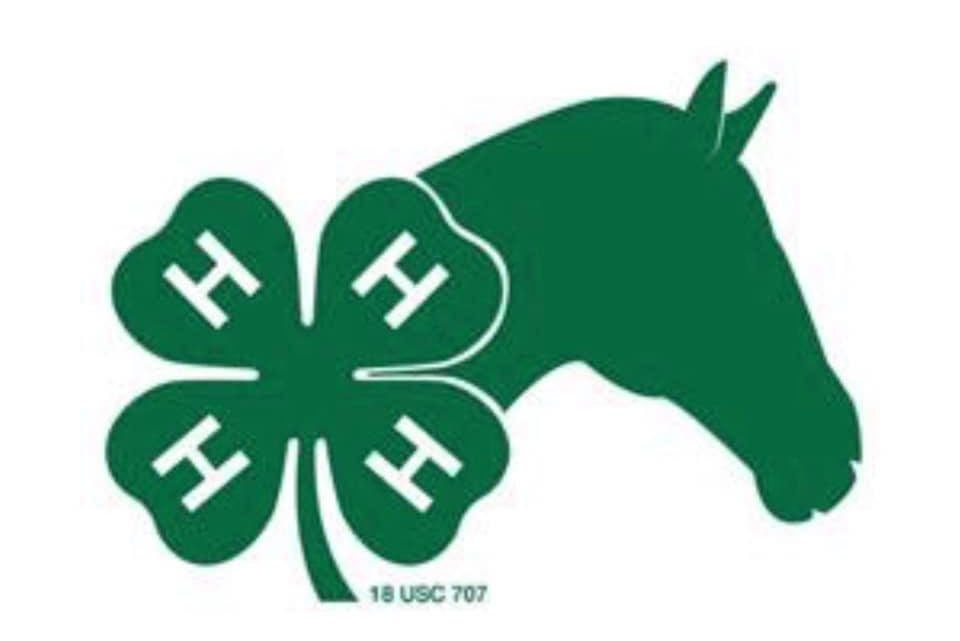 4H Hippology