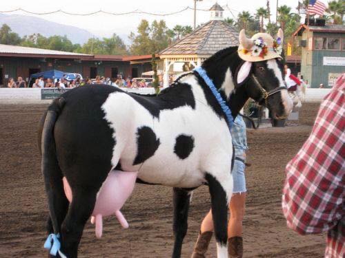 Halloween Costume with Horses