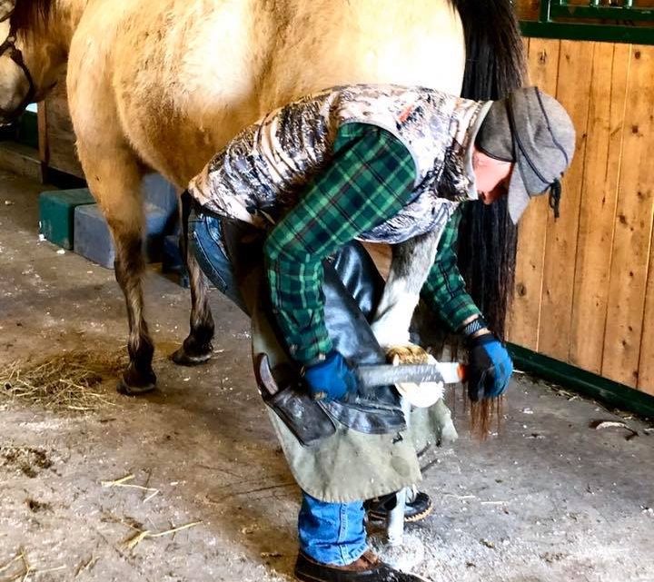 Farrier Day!