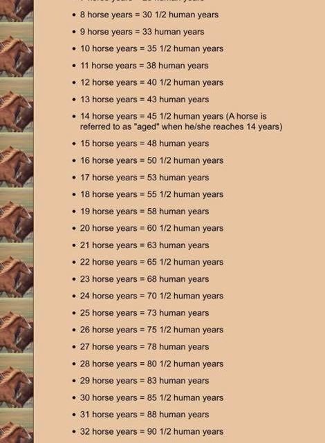 Horse Age vrs Human Years!