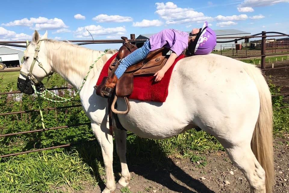 Nap Time With Horses