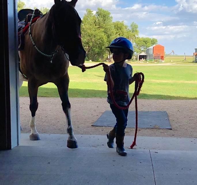 A Boy and His Horse