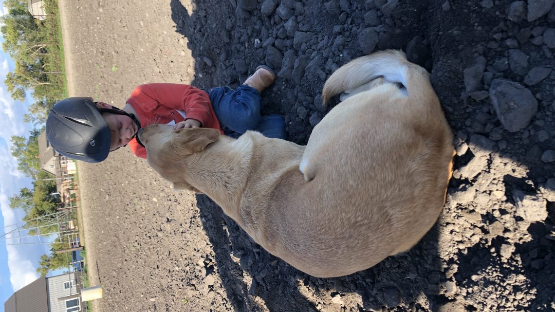 Gator the Ranch Dog